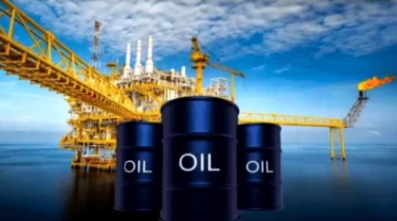 Oil